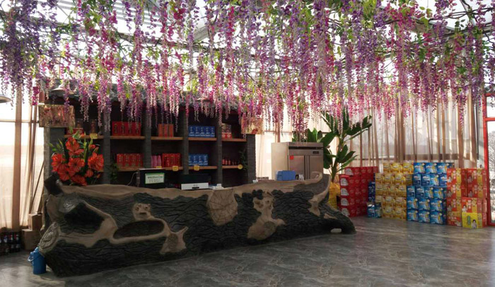 1565679947359867.jpg 錦隆生态莊園