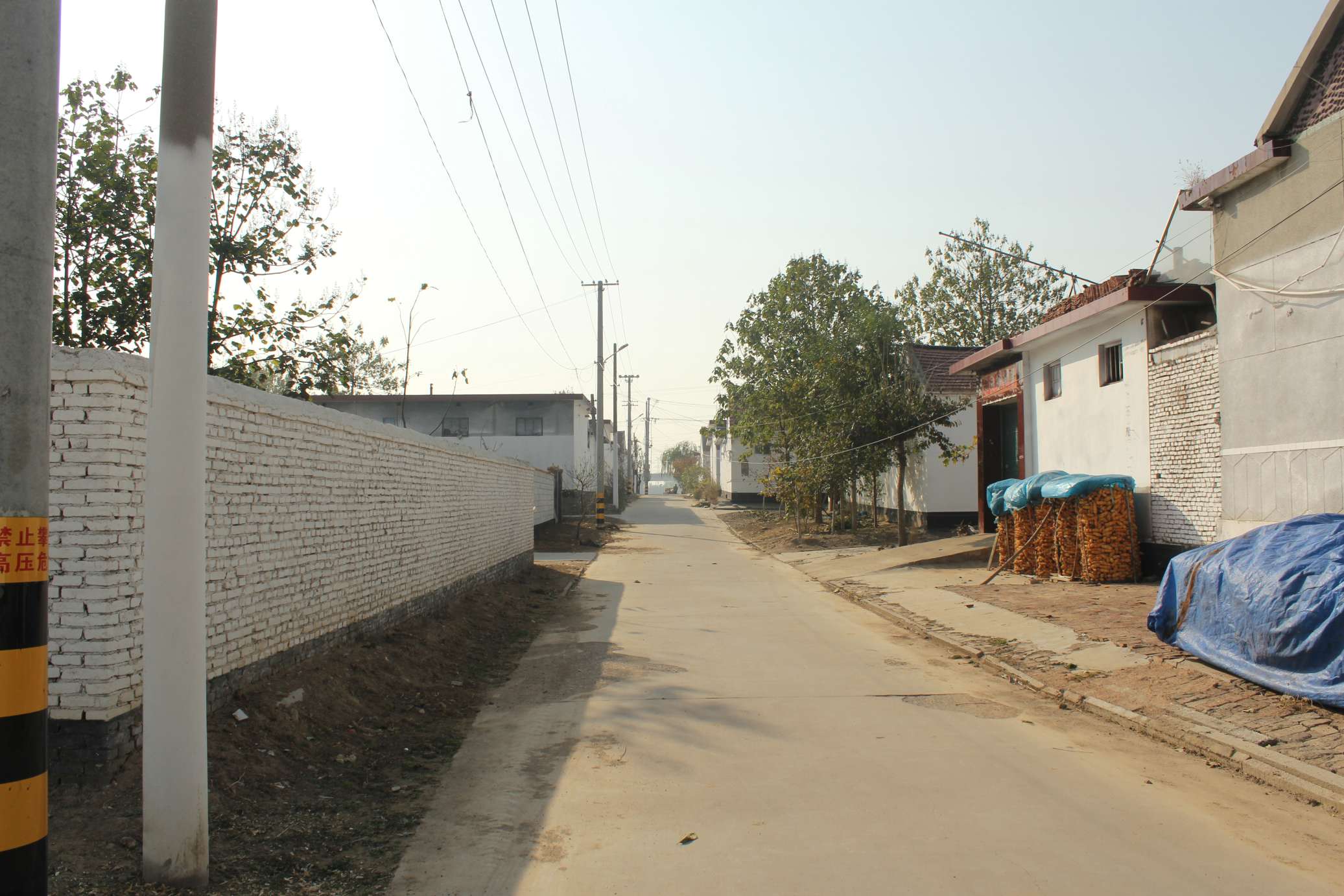 1575857919111716.jpg 村莊